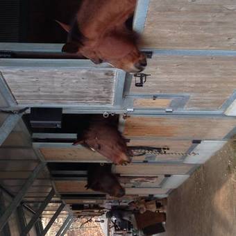 Apartamento Green Valley