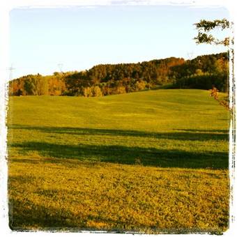 Il Vignolino Bed And Breakfast