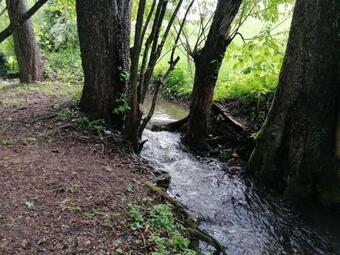 Apartamento Ferienwohnung "am Seebach"