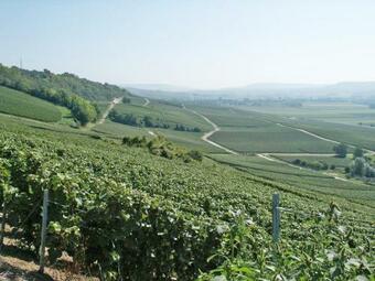 Apartamento G�te Du Vignoble