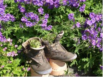 Hotel Zum Steinhauser