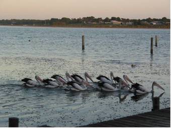 Bed & Breakfast Boathouse & Birks River Retreats