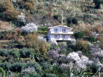 Apartment Casa Gaetano II S Maria Di Ricadi
