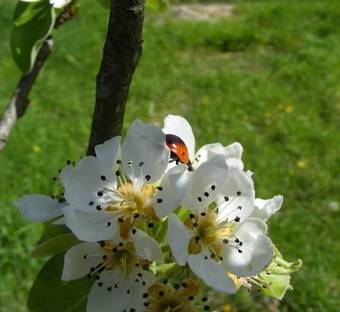 Bed & Breakfast La Gaggiaspina