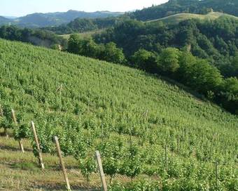 Agroturismo Agriturismo I Calanchi Di Riosto