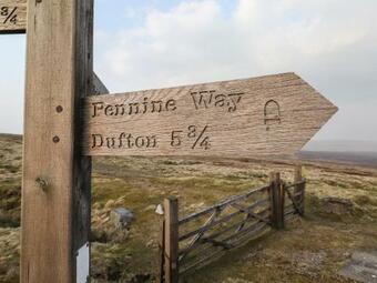 Dunfell Shepherd's Hut