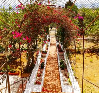 Apartamento Panohome