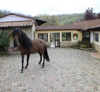 Agroturismo Agriturismo Le Cannucceta