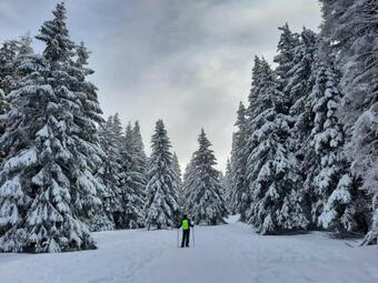 Village De Chalets Du Camping Le Valserine
