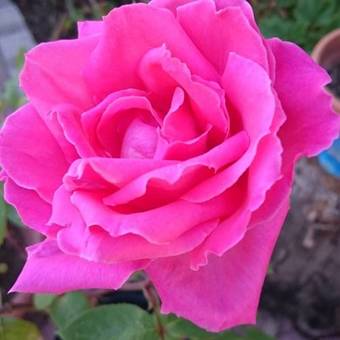 Hotel Villa Splendore