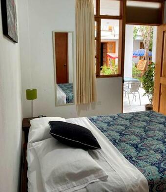 Posada Diamond Monkey City