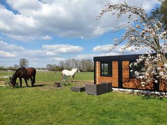 Houten Huisje Tussen Paarden