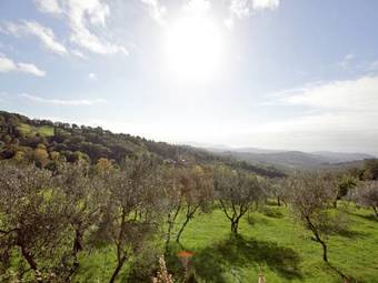 Apartment Le Olive Montorsoli