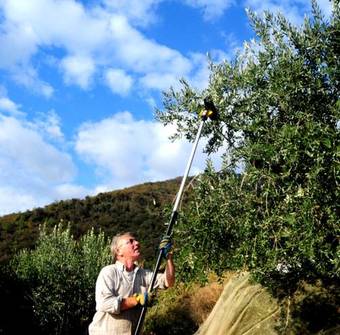 Agroturismo B&B Villa Ghiselli