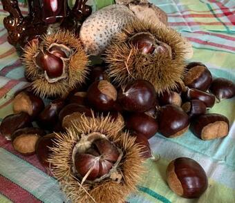 Apartamento Belles Tourelles