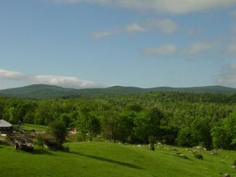 Tentrr Signature - Darnit Brook