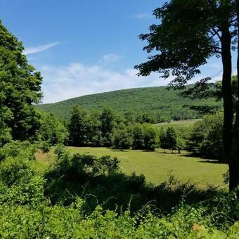 Tentrr - Running Spring Farm