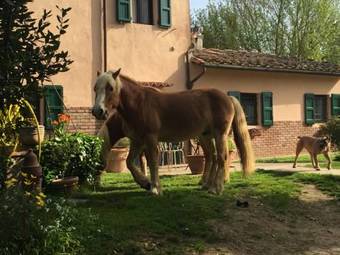 Apartamento Fioralice