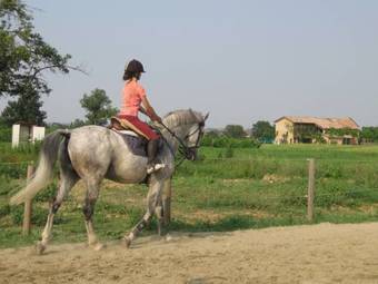 Agroturismo Agriturismo La Razza