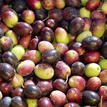 B&B Antoclo Di Concas Angela Margherita