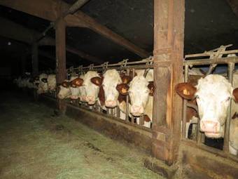 Bed & Breakfast Le Chalet Du Roc