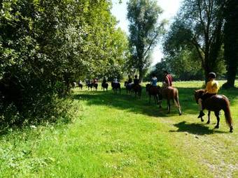 Domaine Du Lieu Dieu