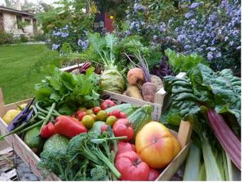 Bed & Breakfast Les Cabanes Des Marais