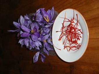 Bed & Breakfast Domaine Les Cascades