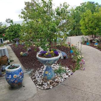 Lodge Northern Experience