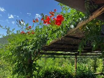 Hostal C� Di Brigaschi