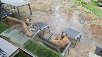 Agroturismo D'muppemillen