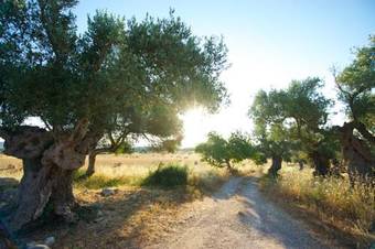 Villa 5 - Carrossa Resort & Villas