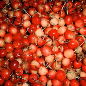 Agroturismo Agriturismo Montelovesco