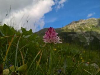 Bed & Breakfast The Village Rest - Brezje Gorenjska