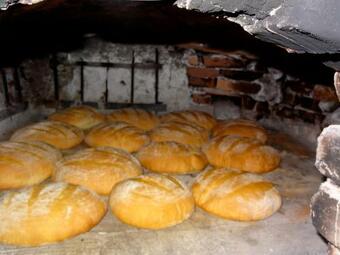 Holiday Home Virida, App Leopold III