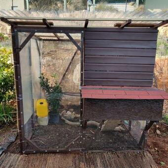 Villa Our Mount Meron Orchard - Your Perfect Getaway