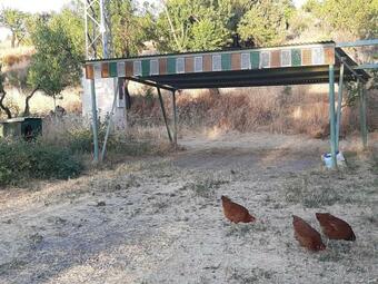 Agroturismo Kamer Met Stapelbed Sierra Nevada Spanje