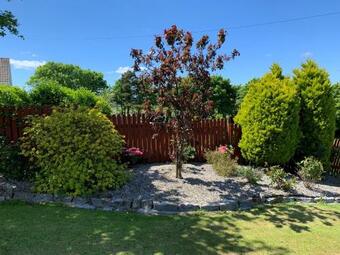 Hostal Kilcarragh House