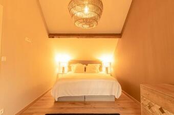 Hotel La Grenouille - Suite De Luxe & Welness Privatif