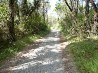 Apartment Il Girasole Grosseto