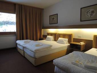 Hotel H�tel De La For�t