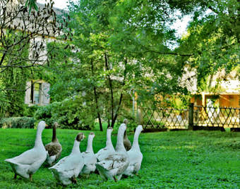 Hotel Relais Du Silence Le Moulin De Mitou