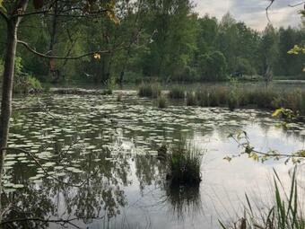 Apartamento Czarcza Rooms