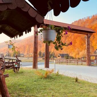 Hostal Pensiunea Ovidiu&paula