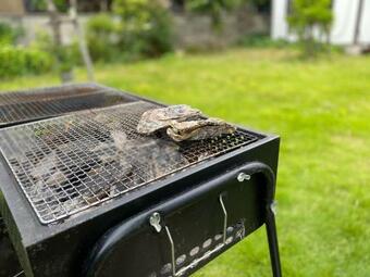 Hostal Setouchi Hitotsuru Hanare Hitotsuru Hanare - Vacation Stay 72548v