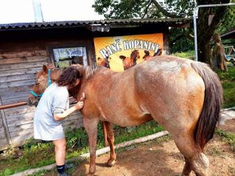 Z�?itkov� Pobyt Na Ran?i S Kr�snou P?�rodou