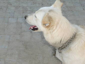 Agroturismo Agriturismo La Meridiana