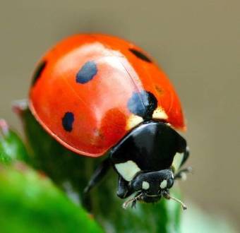 Hostal Le Portel Des Arnaud