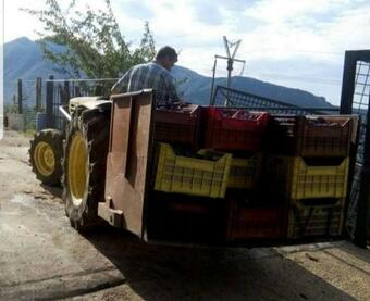 Hostal Room In Tenuta Del Re
