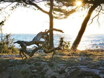 Apartamento Holiday Home Virserum II